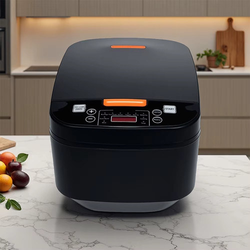 Large electric rice cooker - electric,